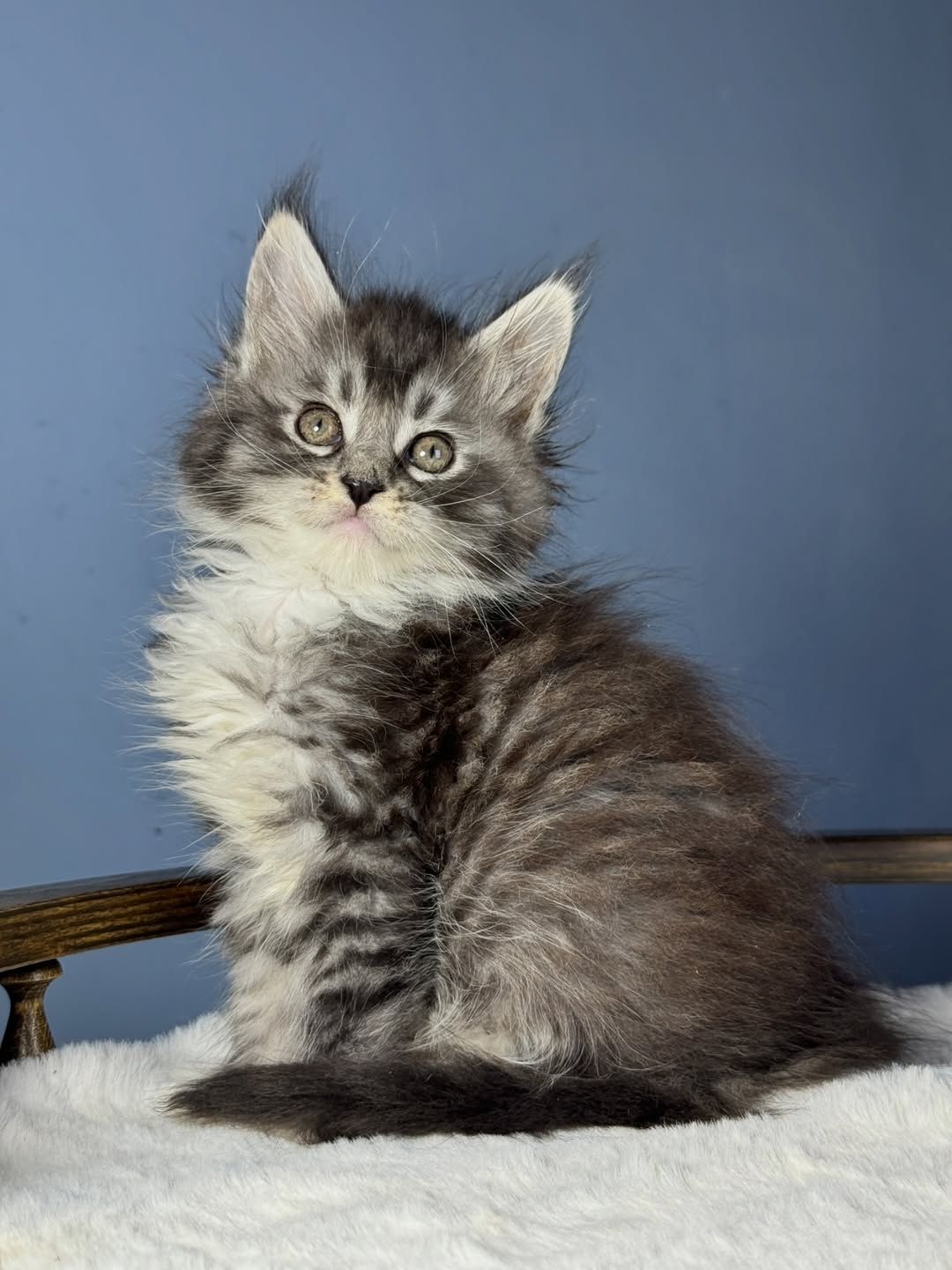 Kira